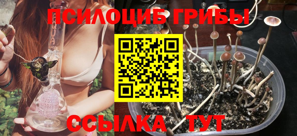 Галлюциногенные грибы мухоморы Шатура